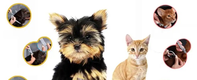  Discover the Magic of Fur Real Pet: The Ultimate Companion for Kids and Animal Lovers