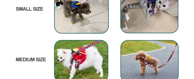  Discover Your Perfect Companion: Explore SAC Craigslist Pets for Adorable and Affordable Pets