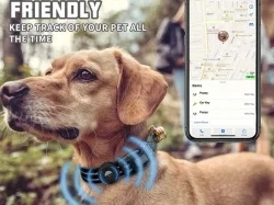 Airtag Pets: The Ultimate Solution for Tracking Your Furry Friends