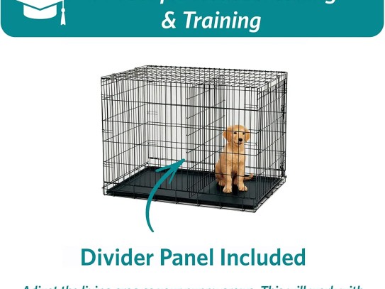 Discover the Best Pet Gates for Large Dogs: Ultimate Guide to Safety and Style