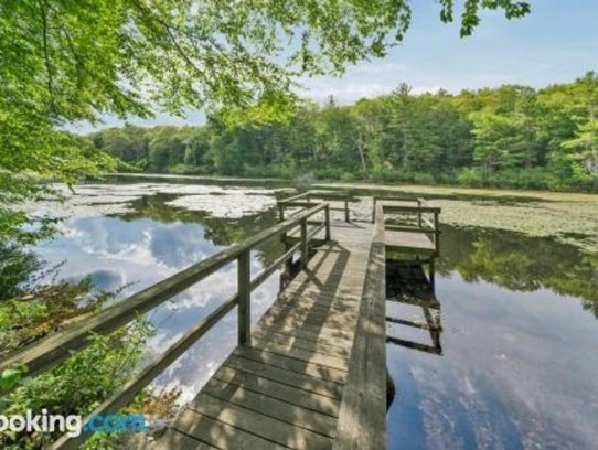 # Discover the Allure of Crescent Lake St Pete: A Hidden Gem for Nature Lovers